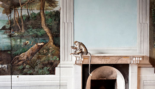 La fotografia emergente al MACRO  |